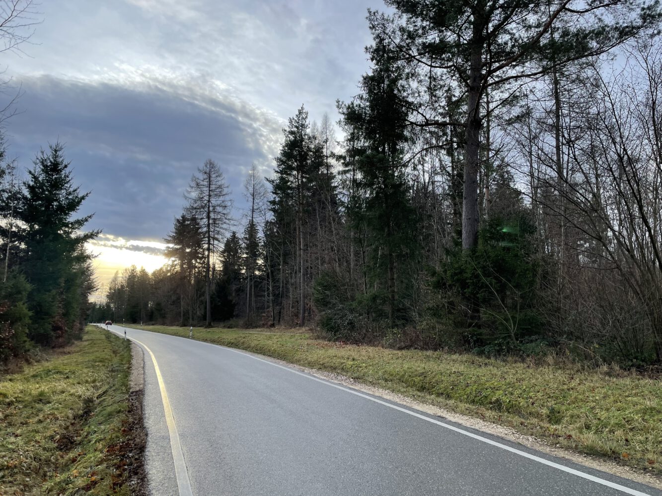 Windpark Königseiche Beginn der Baumaßnahmen UHL WINDKRAFT